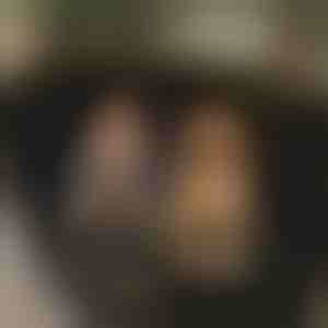 Nepremokavý kryt zadného sedadla auta pre psov | CARIPET