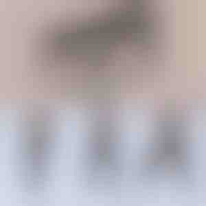 Multifunkčná tyč na pilates | TONEBAR